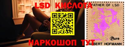 прущие грибы Донецк