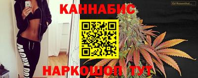 прущие грибы Донецк